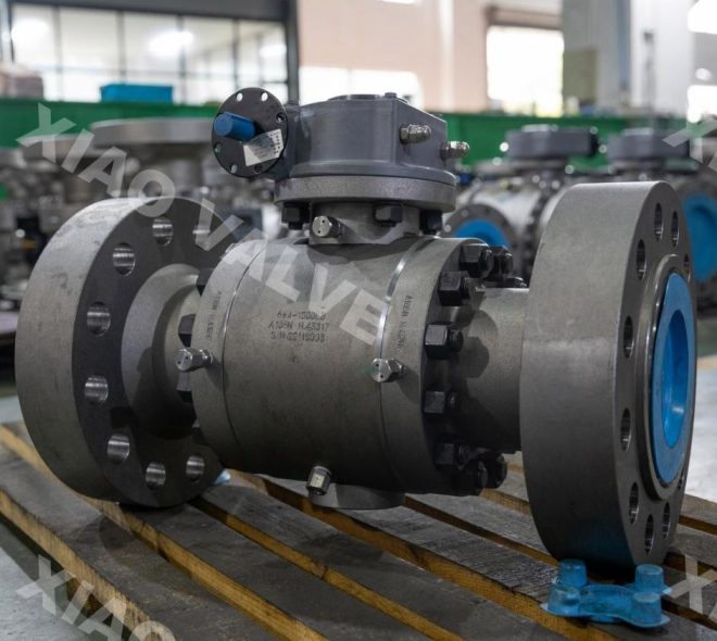 trunnion ball valve