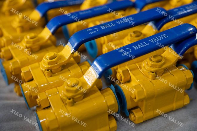 NPT SW BALL VALVE