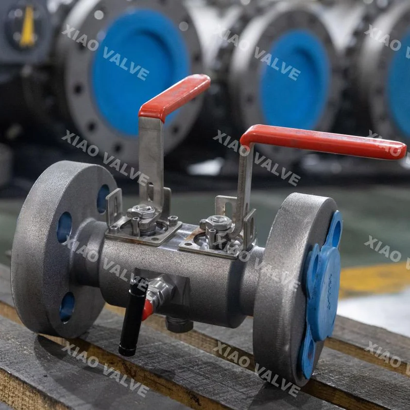 Double Block and Bleed Ball Valve